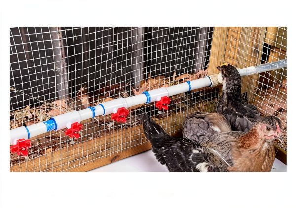 Horizontal Chicken Waterer 15-Pack with PVC Tee – ABS & Stainless-6