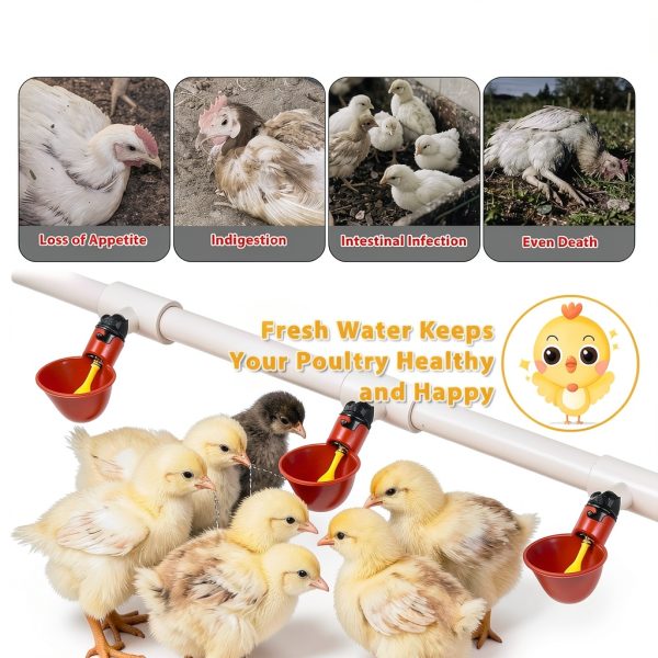 Chicken Waterer Cups, Pack of 6 Chicken Waterer PVC Tee Fittings, with 1/8 Inch FTP Threads, Automatic Chicken Water Cups for Chicken Ducks Quail-3