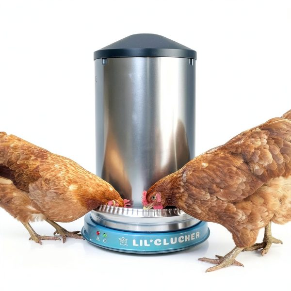 Heated Chicken Waterer Lil'Clucker Base Blue 15‑Inch FreezeProof Metal-8