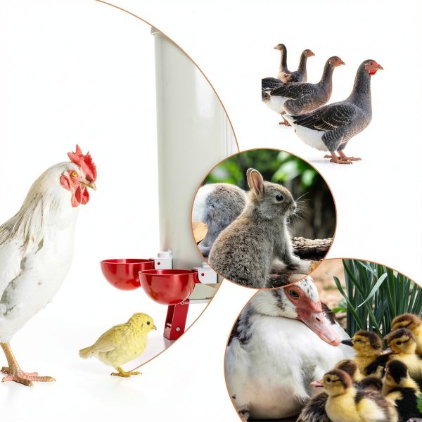 Chicken Waterer Cups, 10 Pack Automatic DIY Chicken Water Cups with 3/8'' Hole Saw-6
