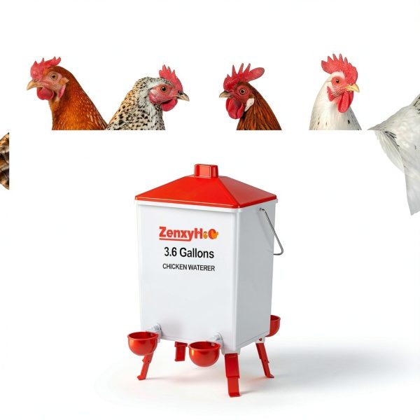 2 * 3.6 Gallons Chicken Waterer Bucket with Handle, Adjustable Legs and Anti Roost Cone-5